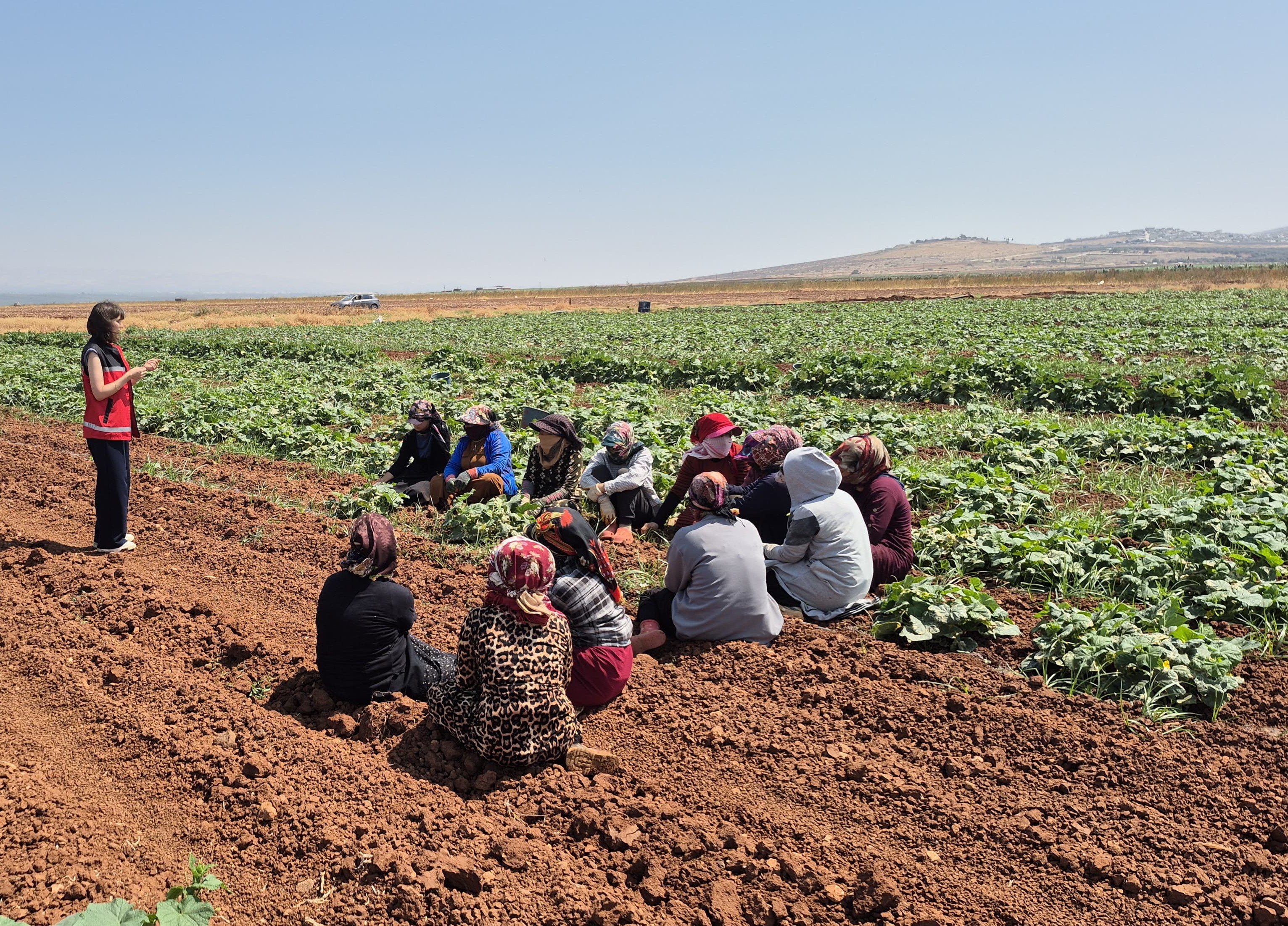 Hatay Reyhanlı’da Tarım İşçilerine Yönelik Aile Yılı Tanıtım Faaliyeti Düzenlendi